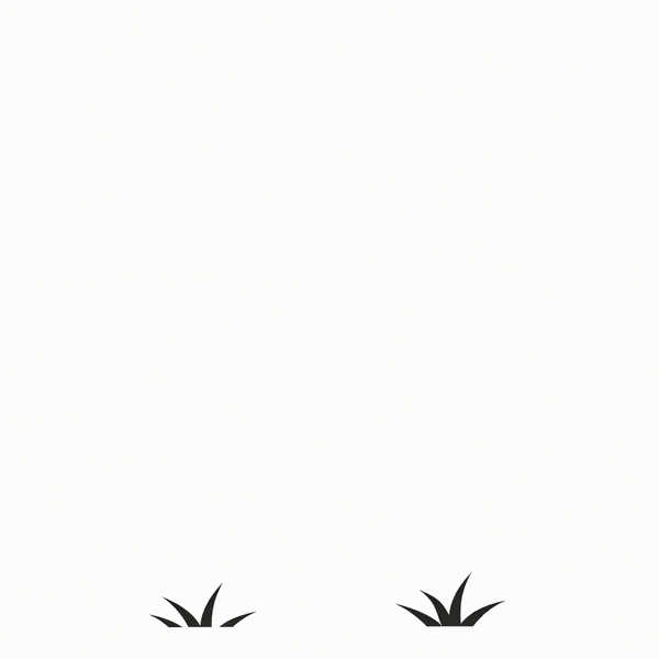 Donley_Gif